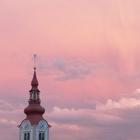 Haus Alexandra Apartment Bled Zewnętrze zdjęcie