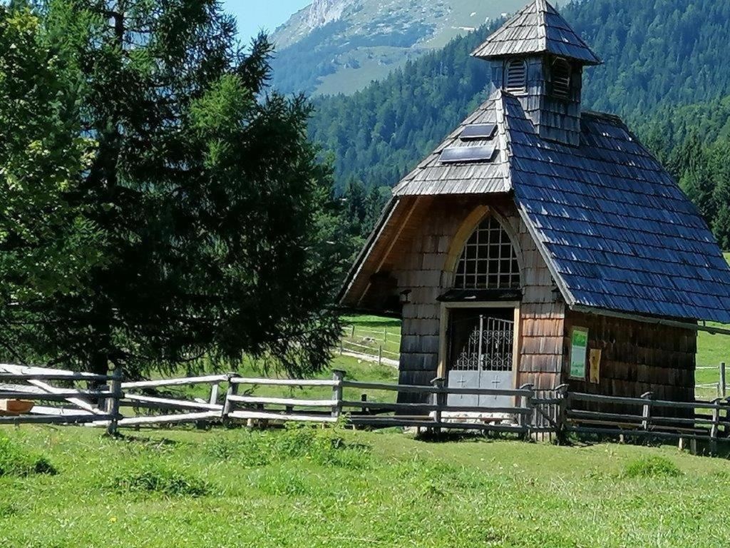 Haus Alexandra Apartment Bled Zewnętrze zdjęcie