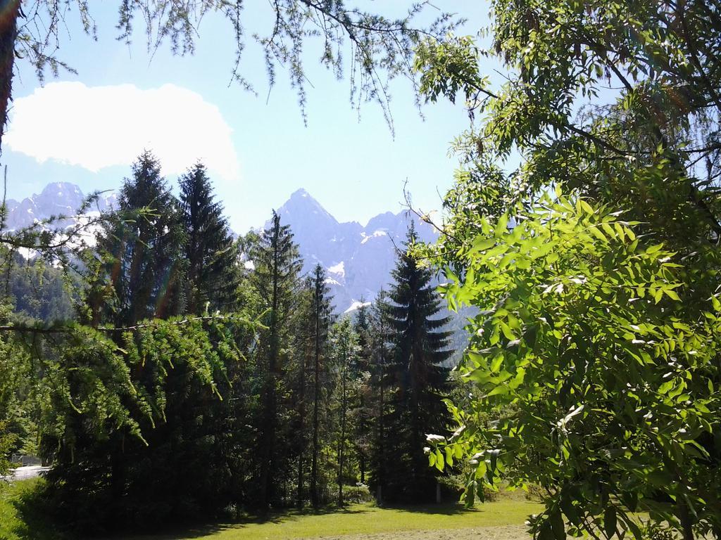 Haus Alexandra Apartment Bled Zewnętrze zdjęcie