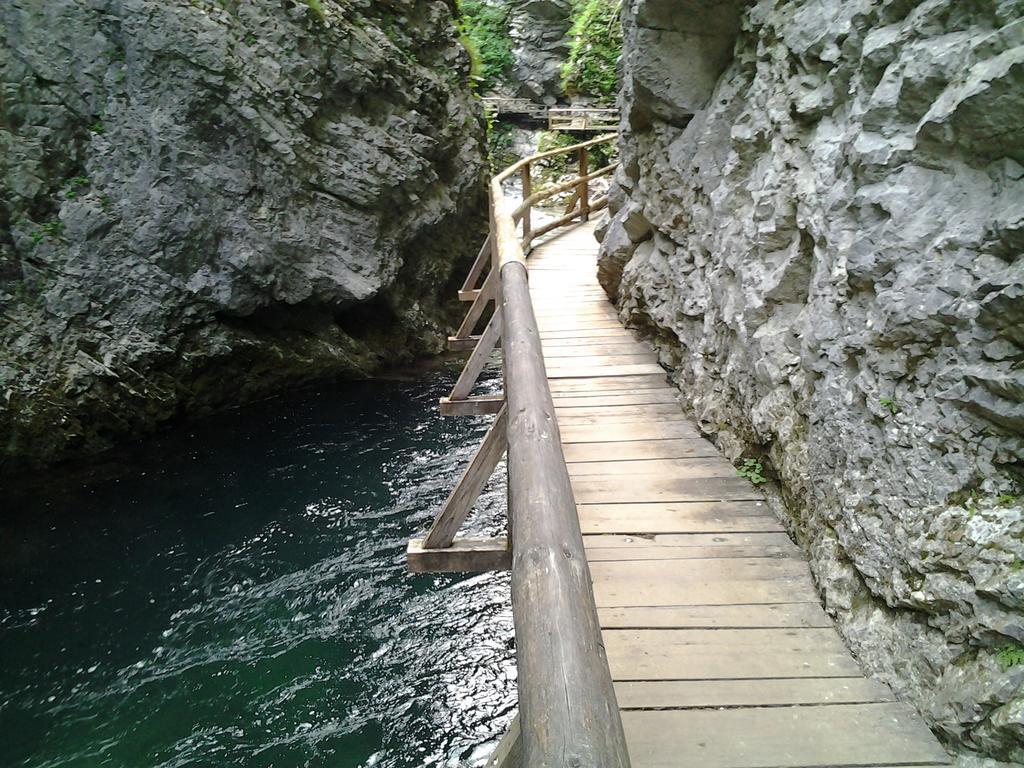 Haus Alexandra Apartment Bled Zewnętrze zdjęcie